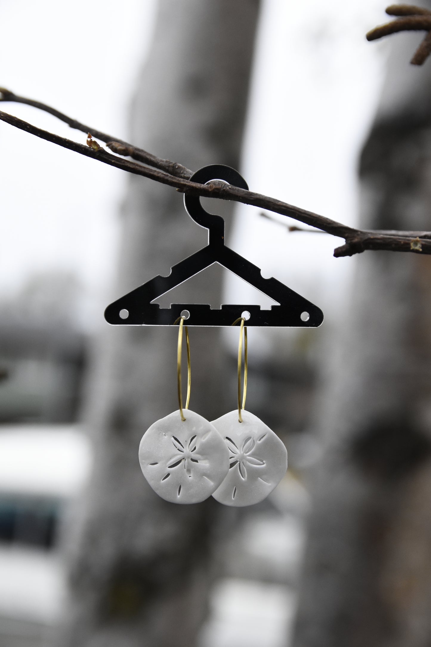 Sand Dollar Earrings