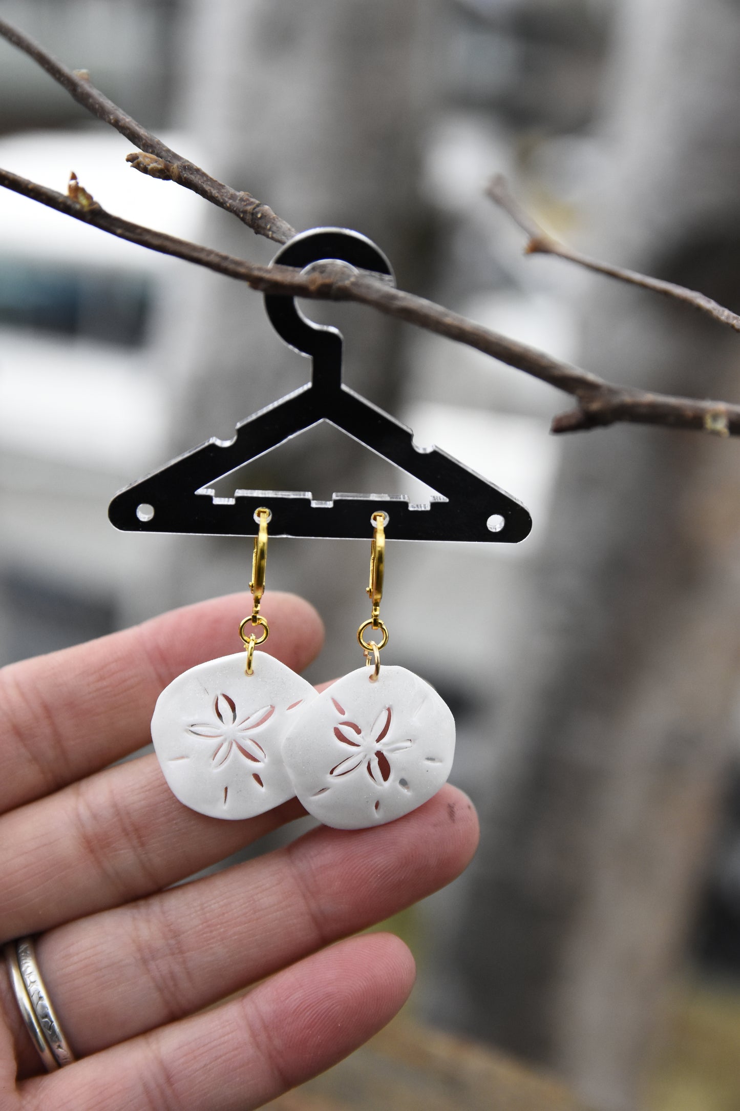 Sand Dollar Earrings