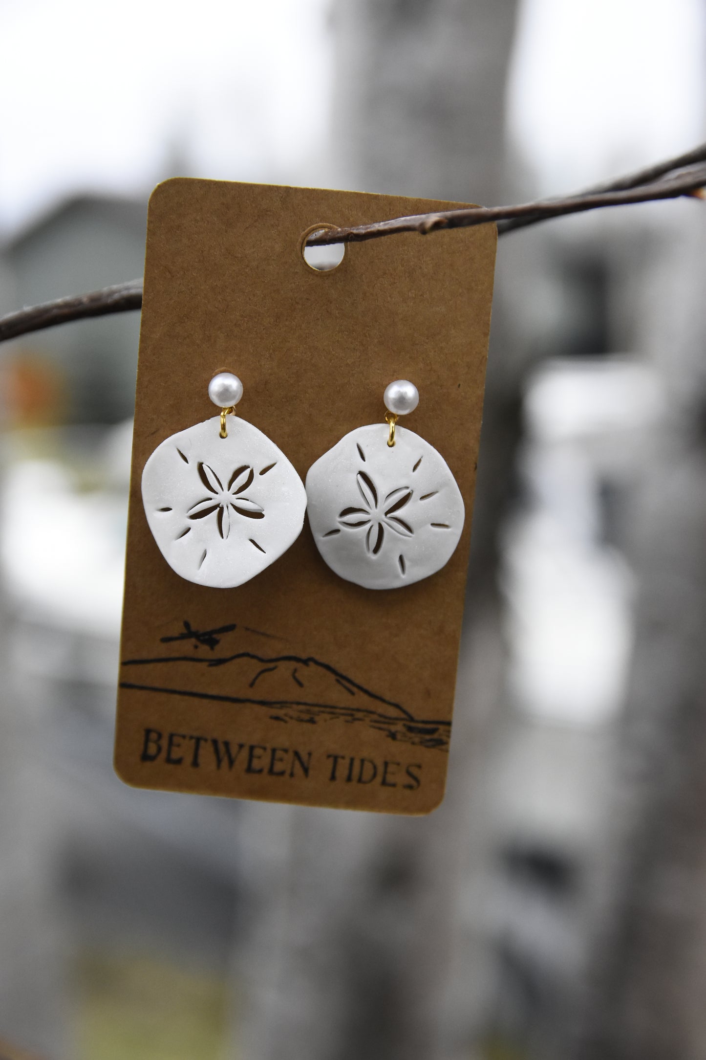 Sand Dollar Earrings