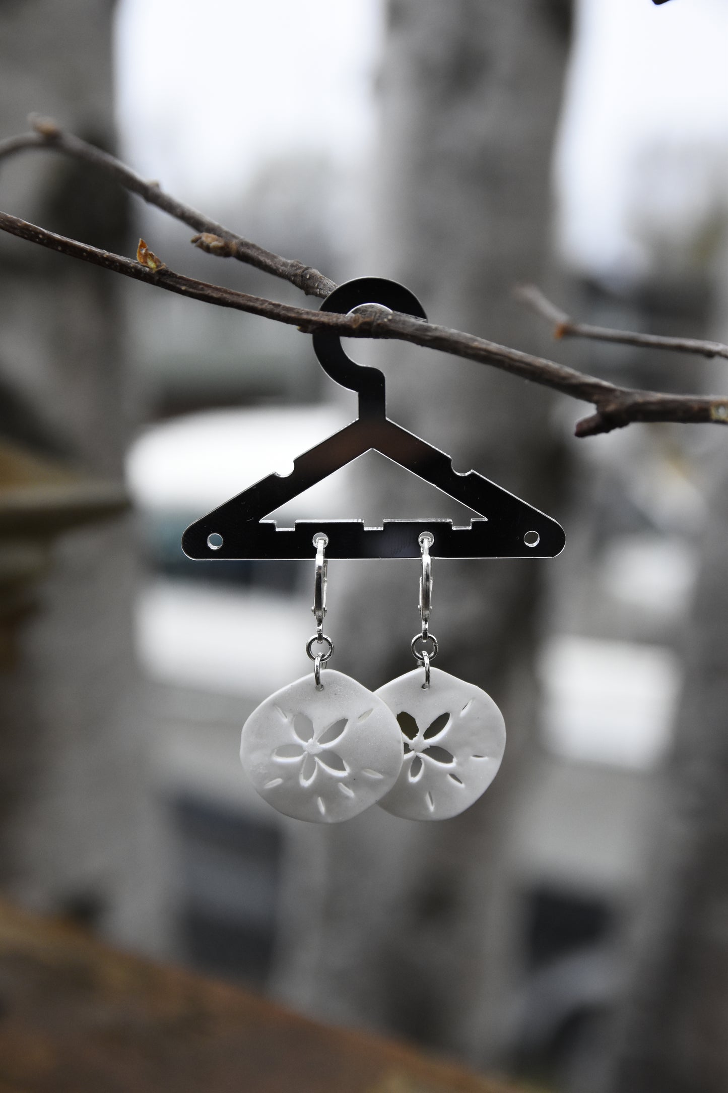Sand Dollar Earrings